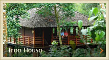 Treehouse, thekkady, Kerala, The Plantation Resort 